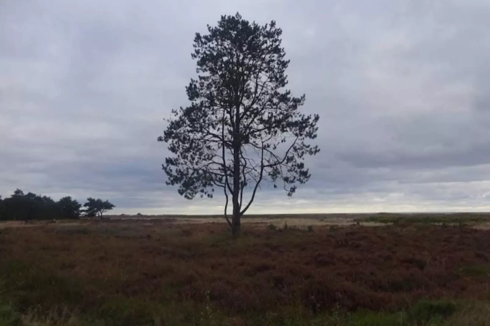 6 person holiday home in Hals-By Traum-Outdoor