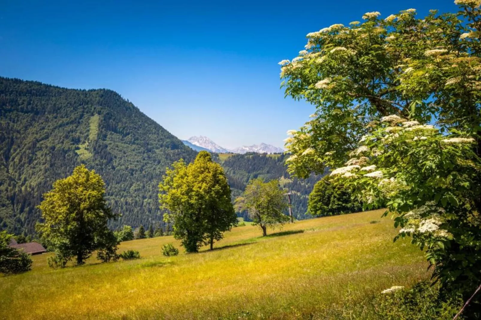 Ferienhaus Rieger-Gebiete Sommer 20 km