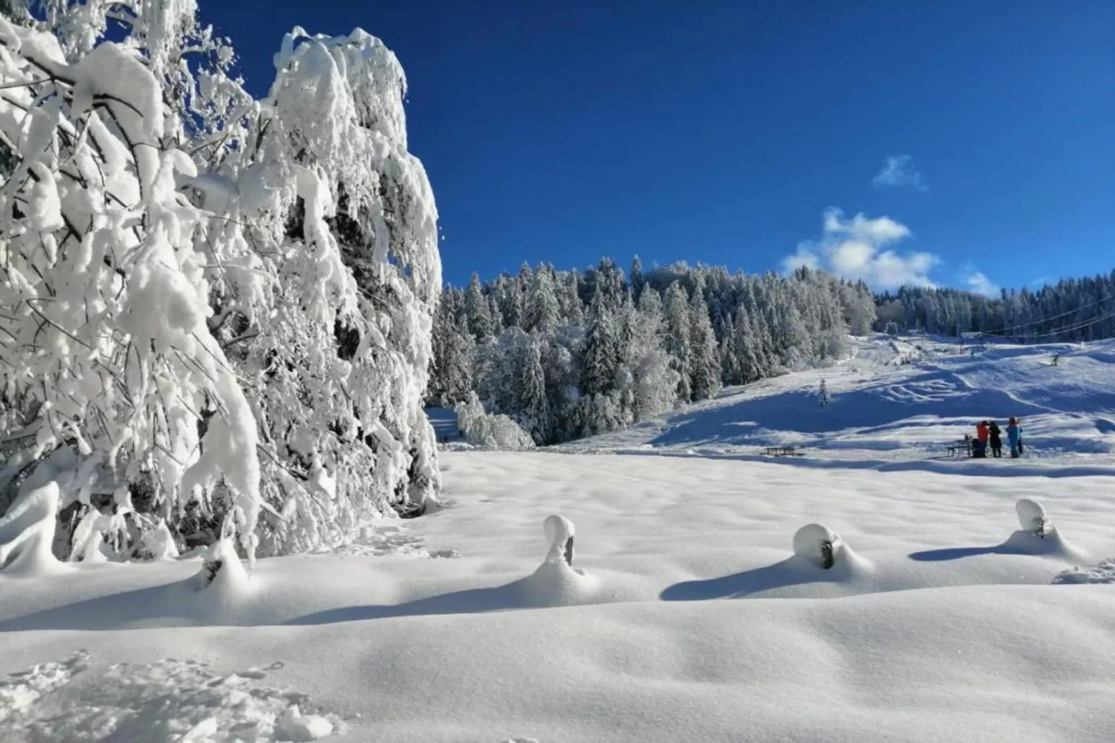 Barbara-Area within 20km in winter