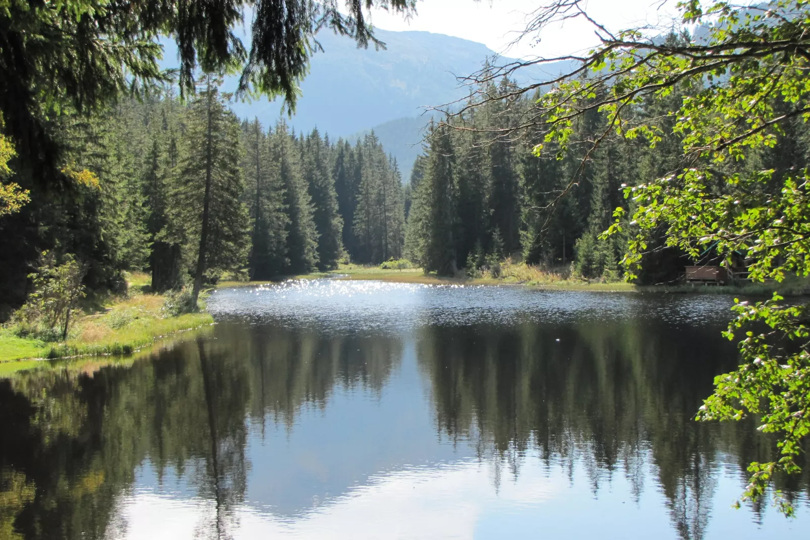 Chalet Zwoade Hoamad-Areas within 5km in summer