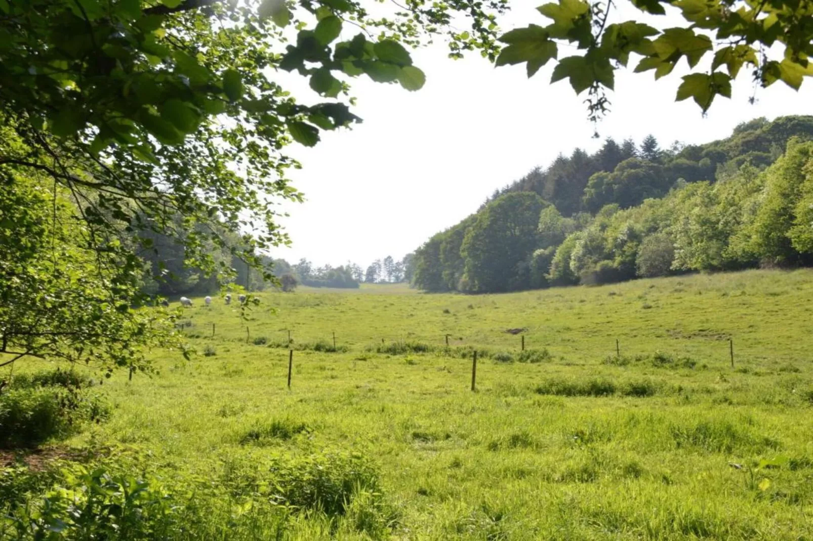 Le Grand Moulin de Denée-Gebiete Sommer 5 km