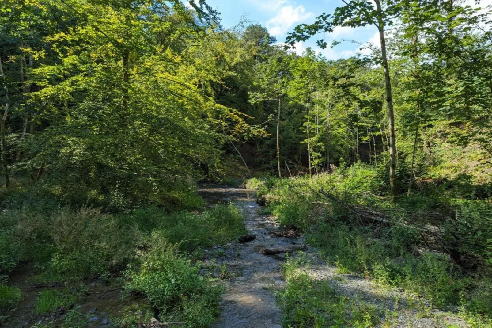 La Ferme Tirou-Gebiete Sommer 5 km
