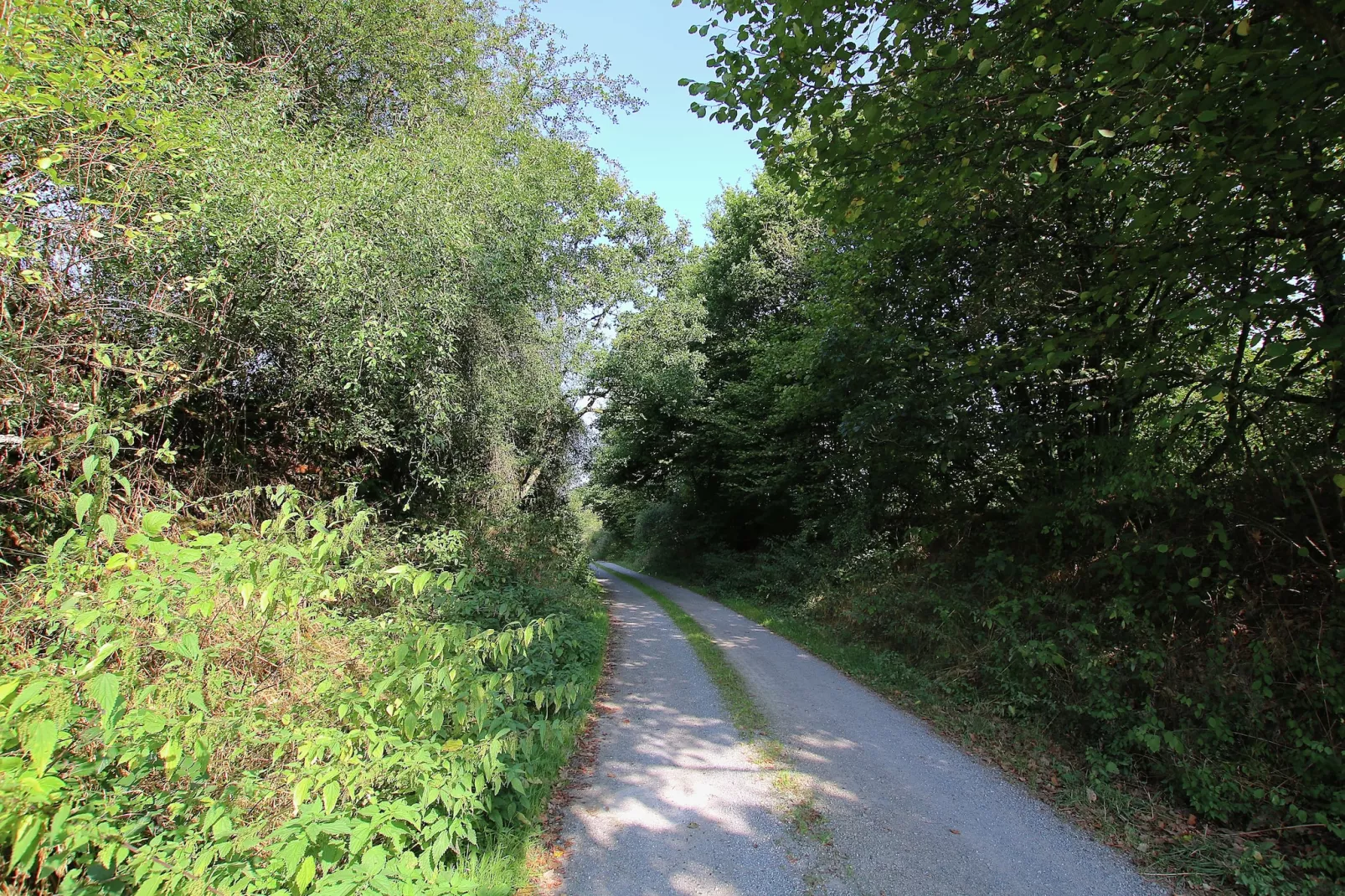 Oasis-Zones été à 20 km