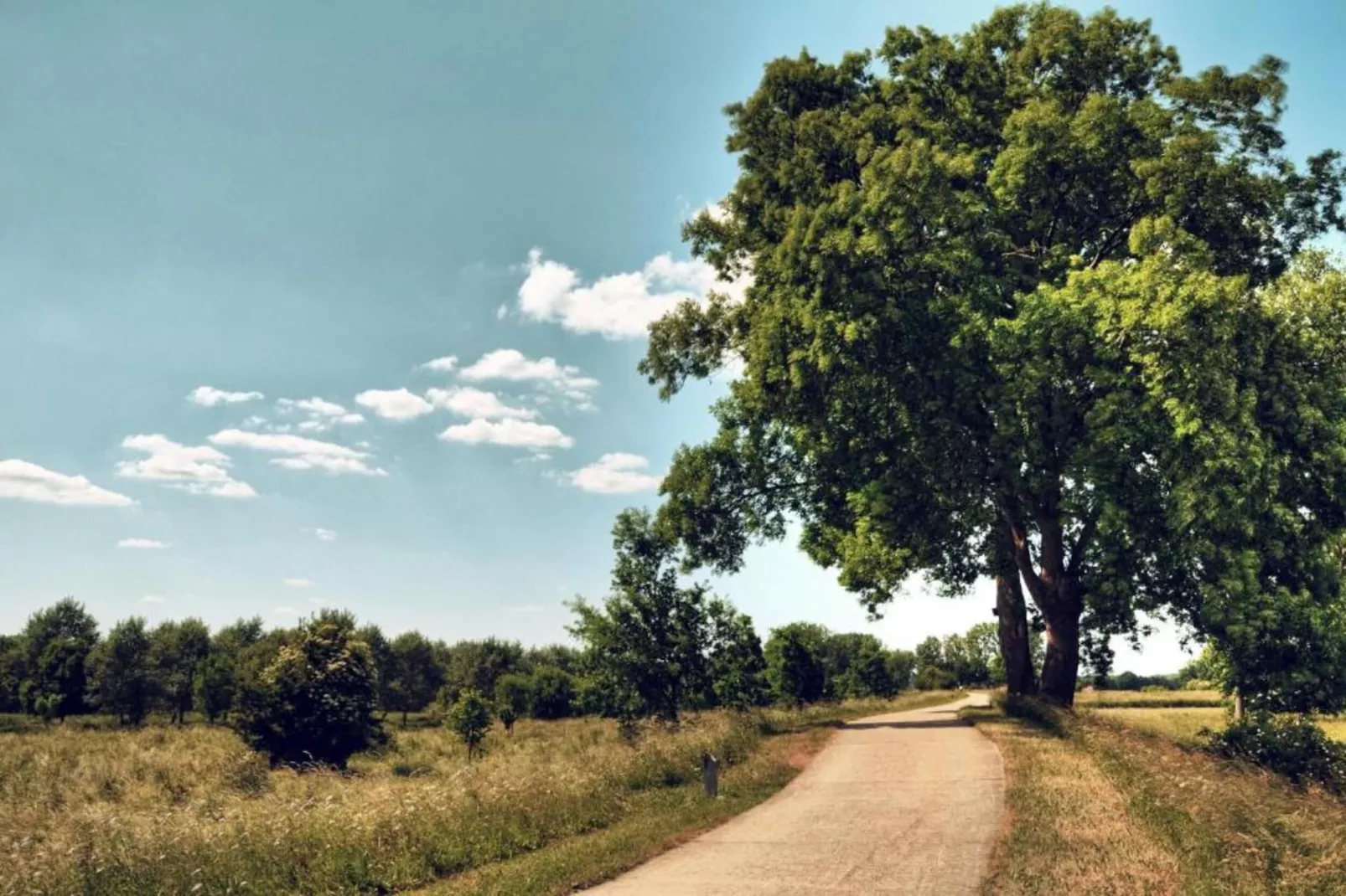 In de oude Bedstee-Areas within 20km in summer