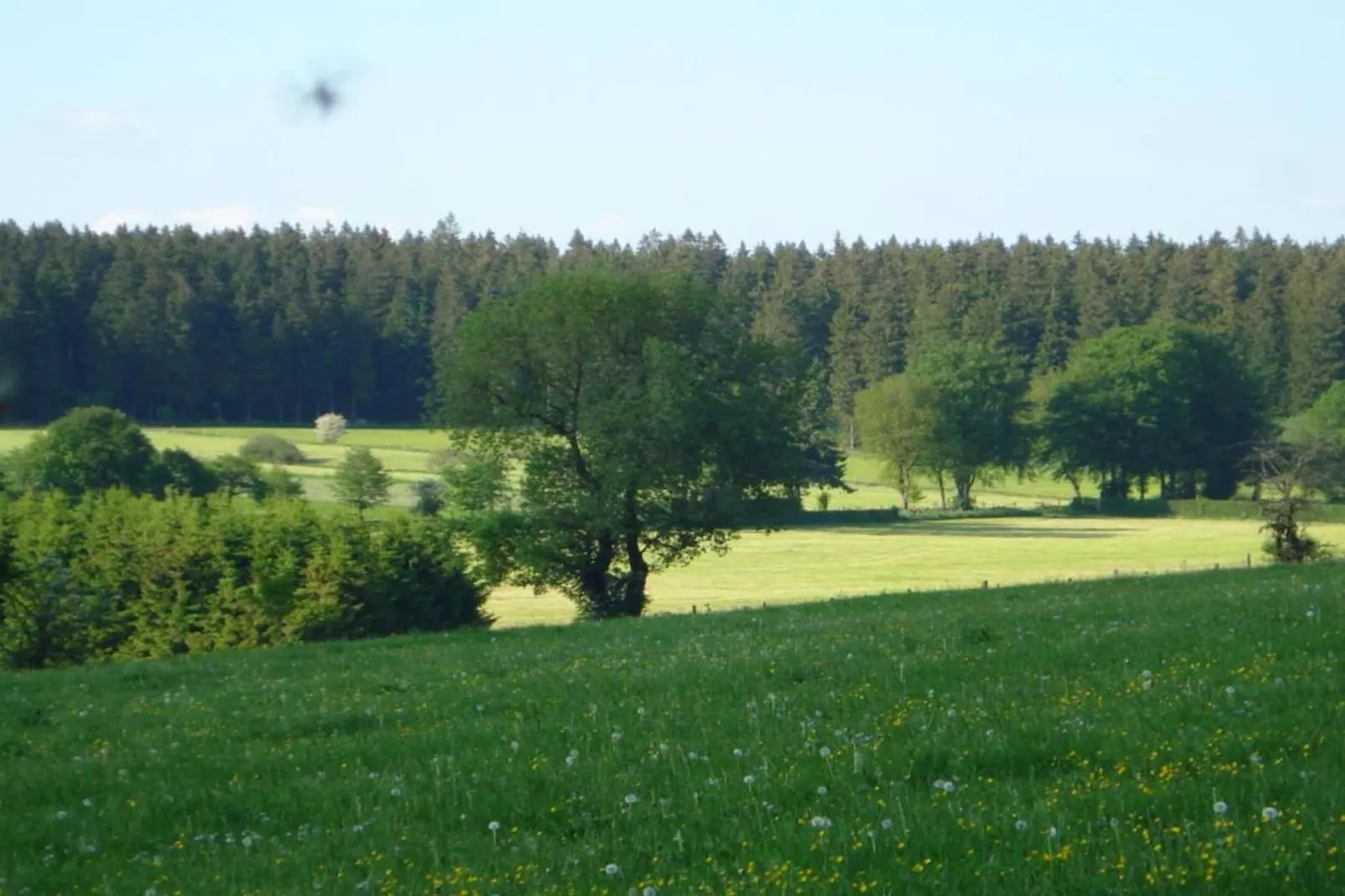 Ol Vich Périr Waimes-Areas within 20km in summer