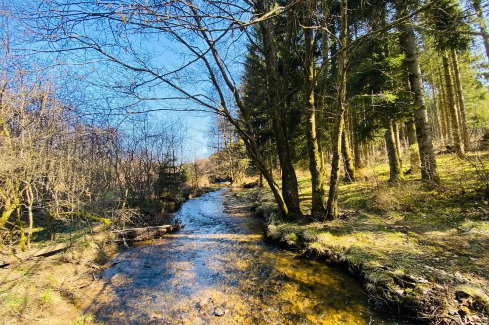 Aux Hirondelles-Zones été à 20 km