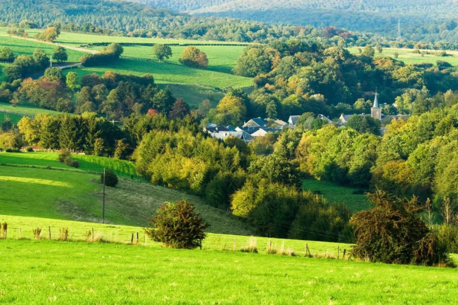 A la lisière de la forêt-Gebiete Sommer 20 km
