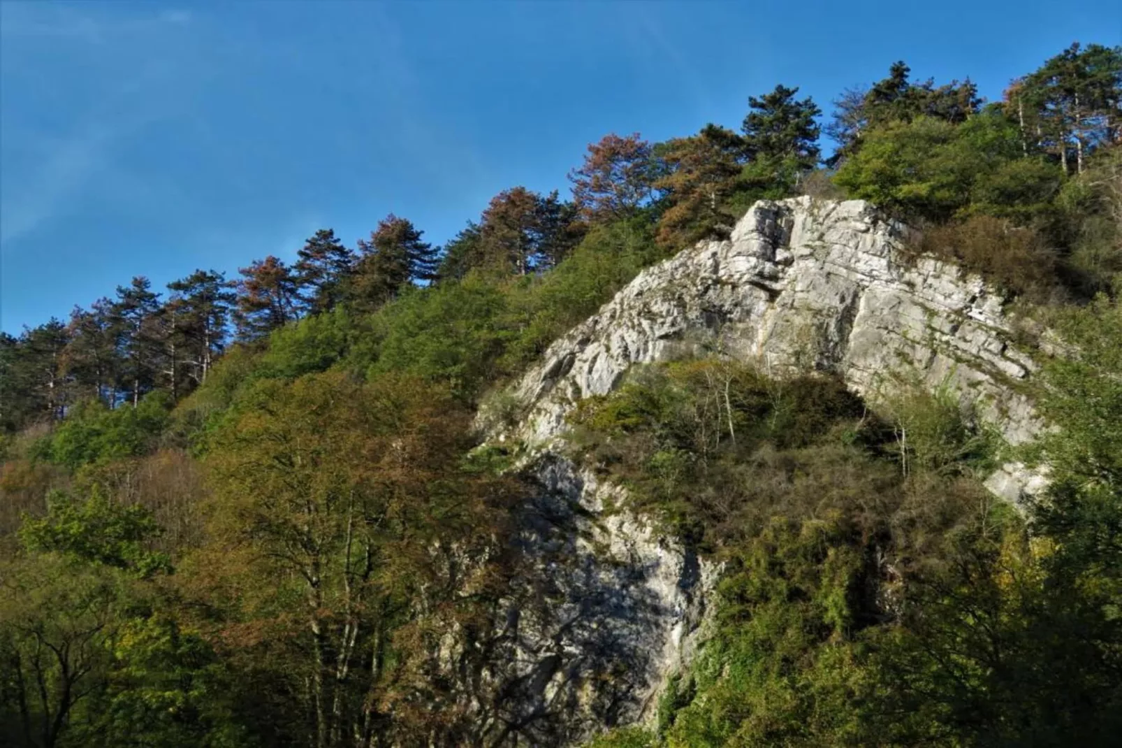 Li Vêrt Veschau-Areas within 20km in summer