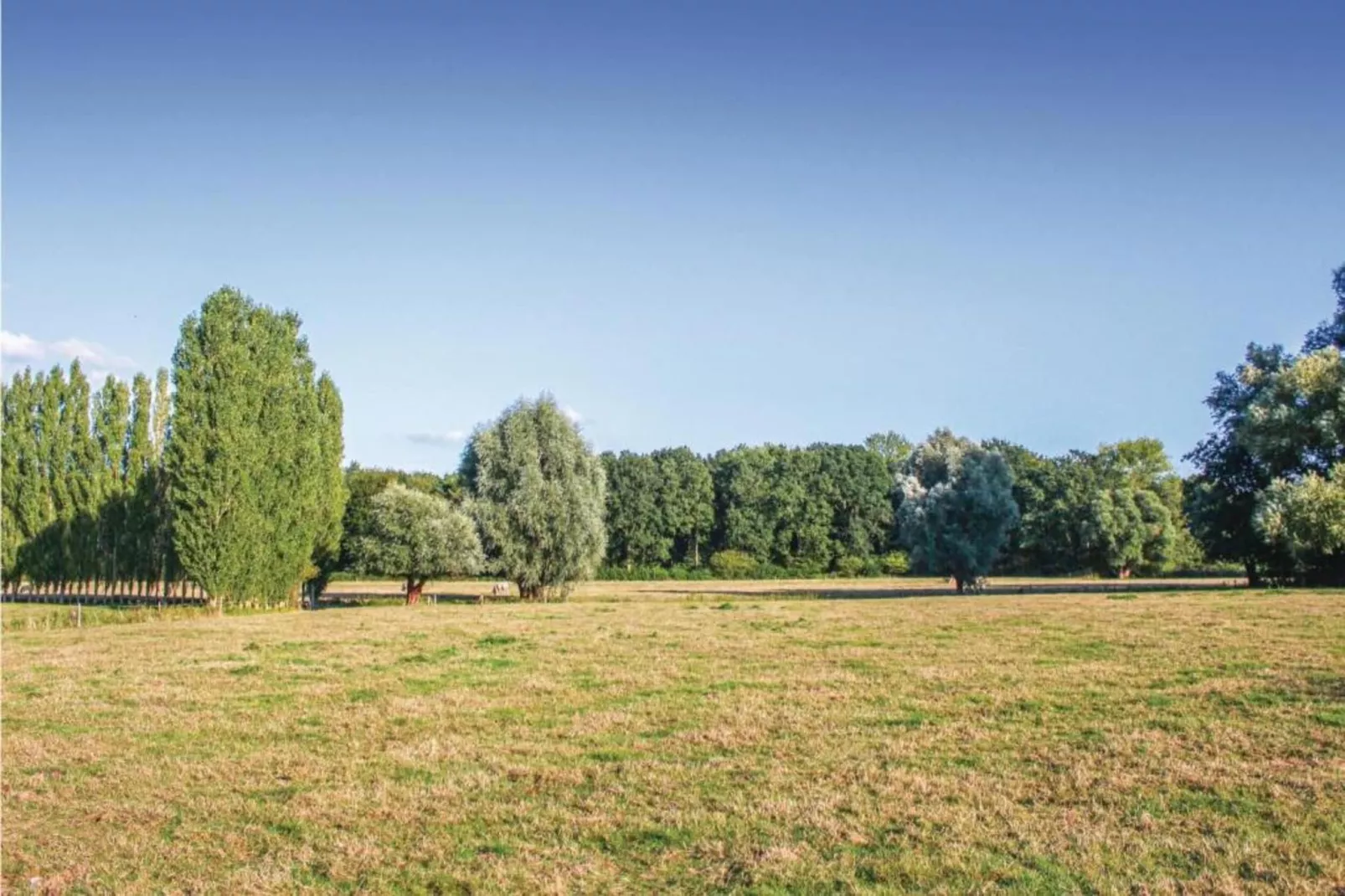 Casteeldoorn-Areas within 20km in summer