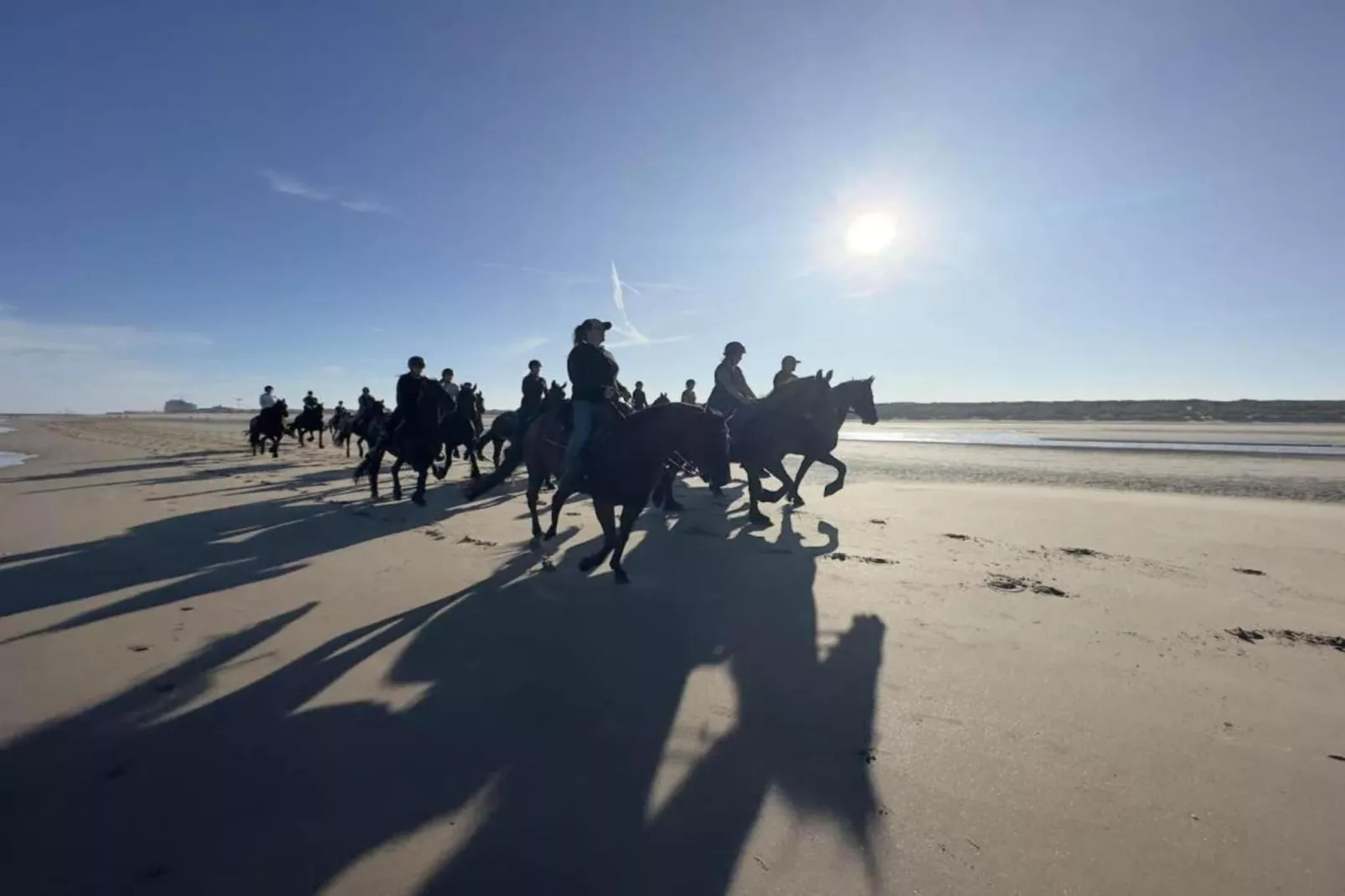 Residentie Shamrock Bianca-Areas within 20km in summer
