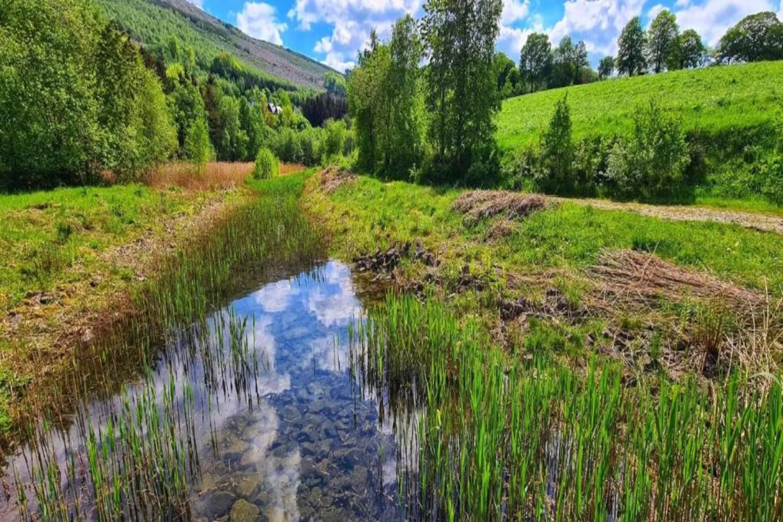 Nuvola-Areas within 20km in summer