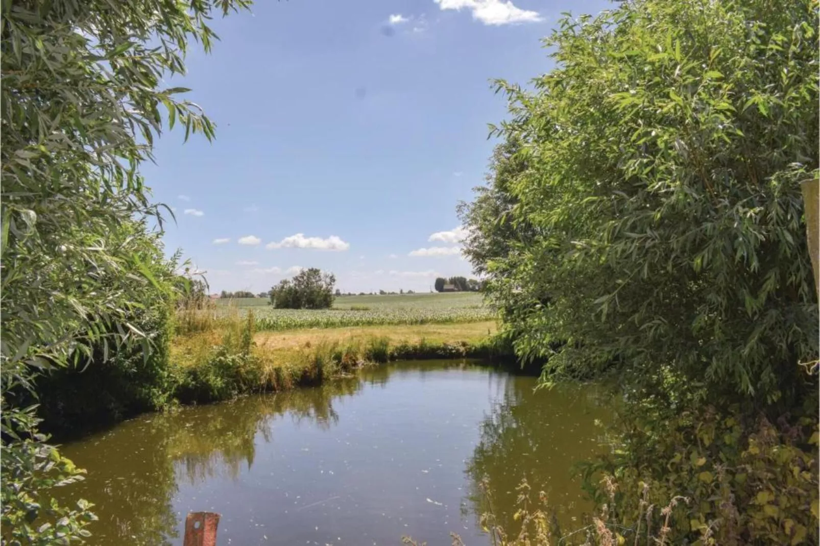 Hommelhove-Areas within 20km in summer
