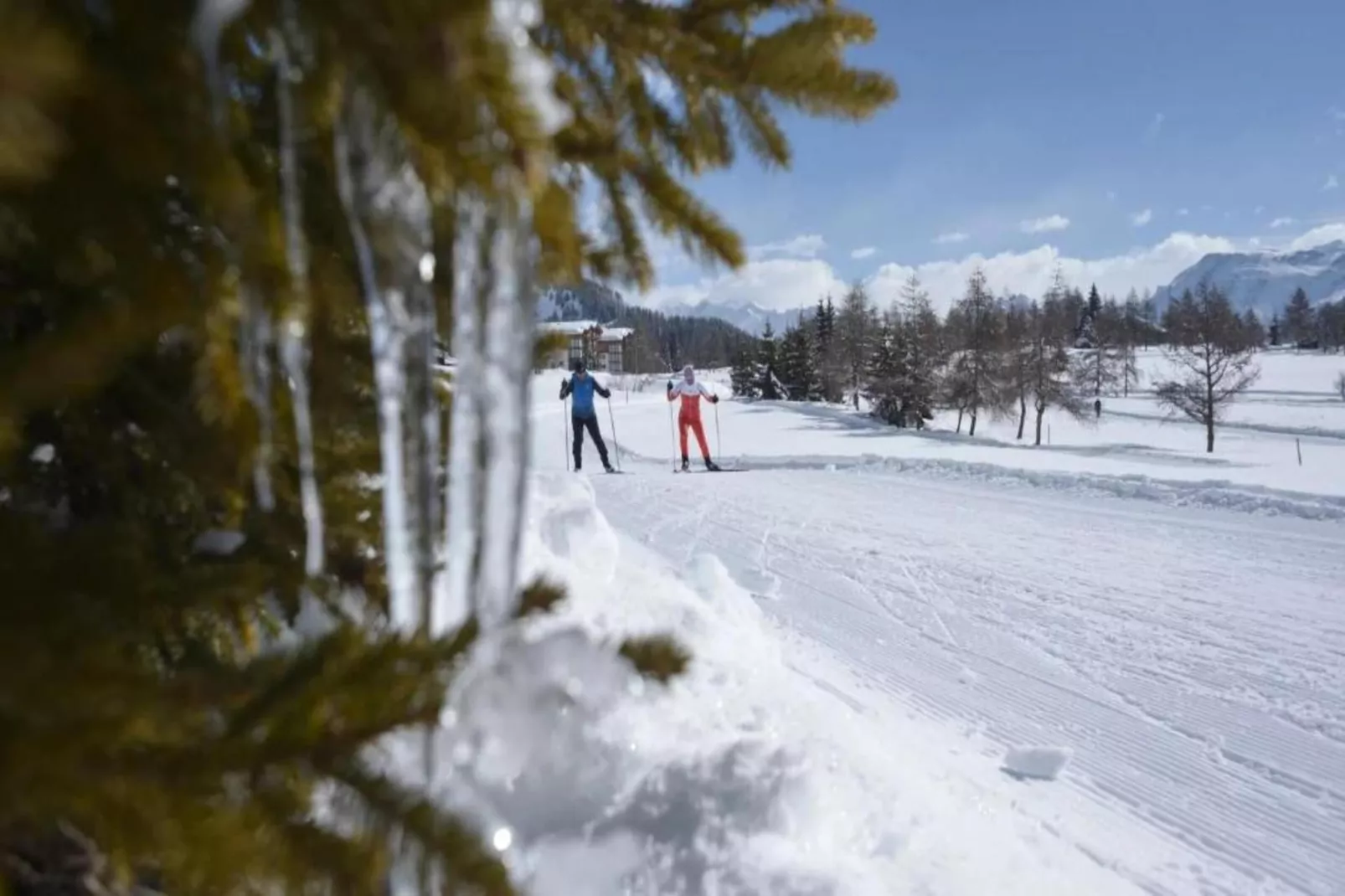 Chalet Rivendell-Gebiet Winter 20 km