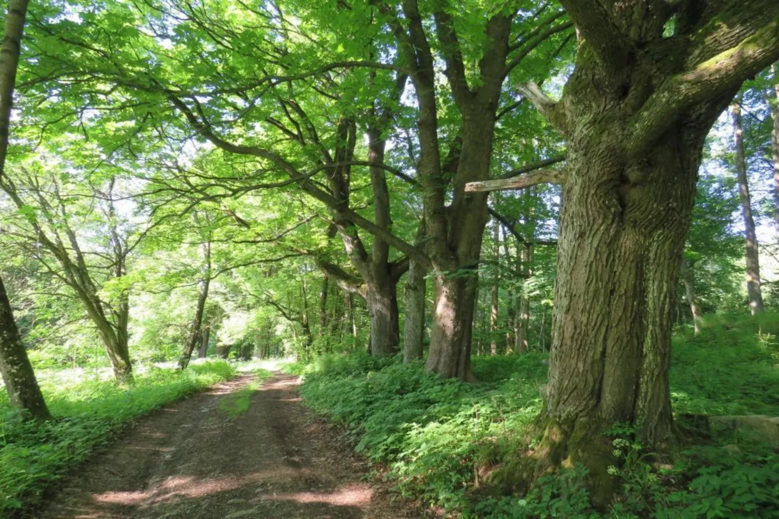 Fara-Gebiete Sommer 5 km