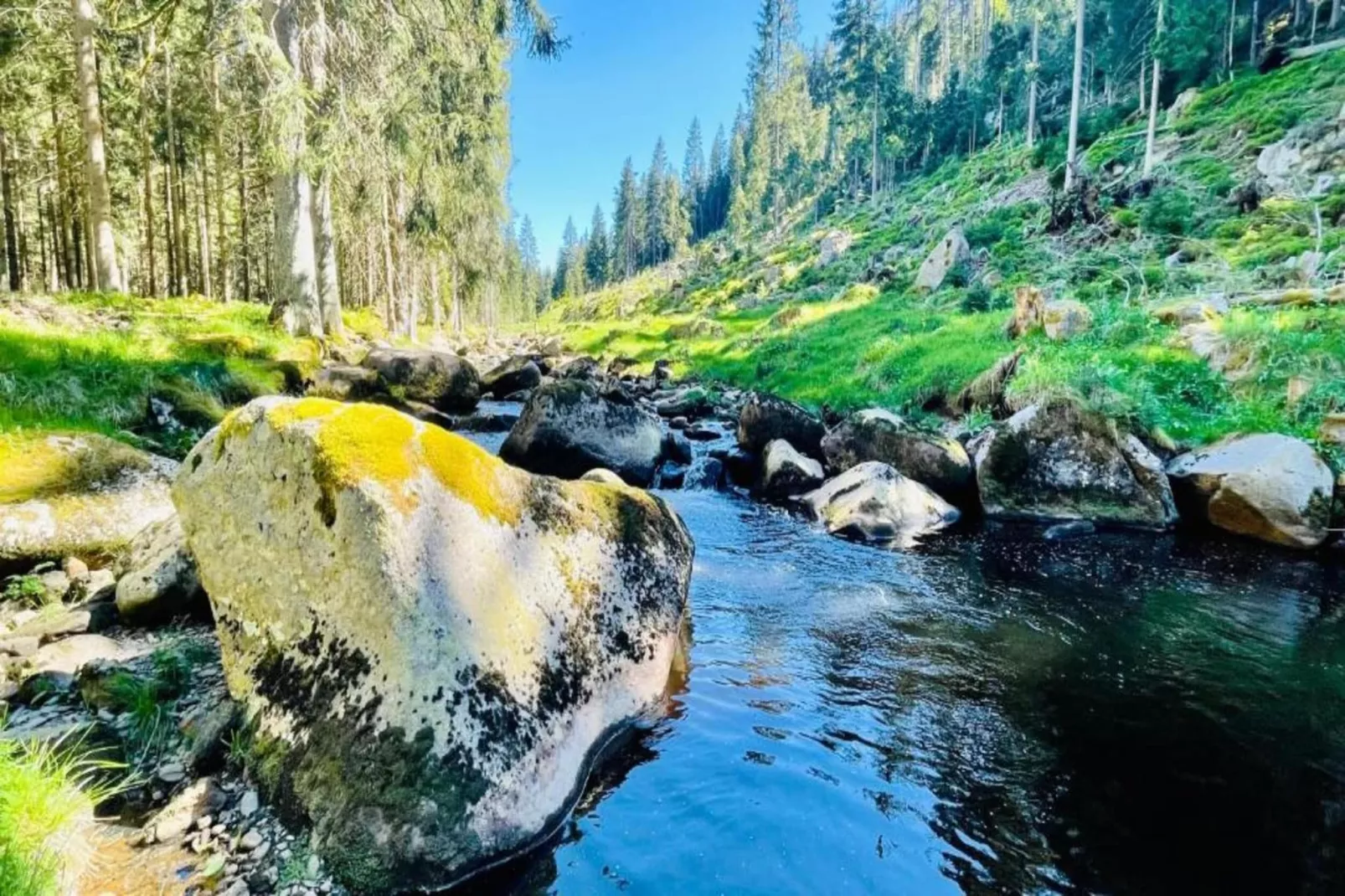 Abertamy-Areas within 5km in summer