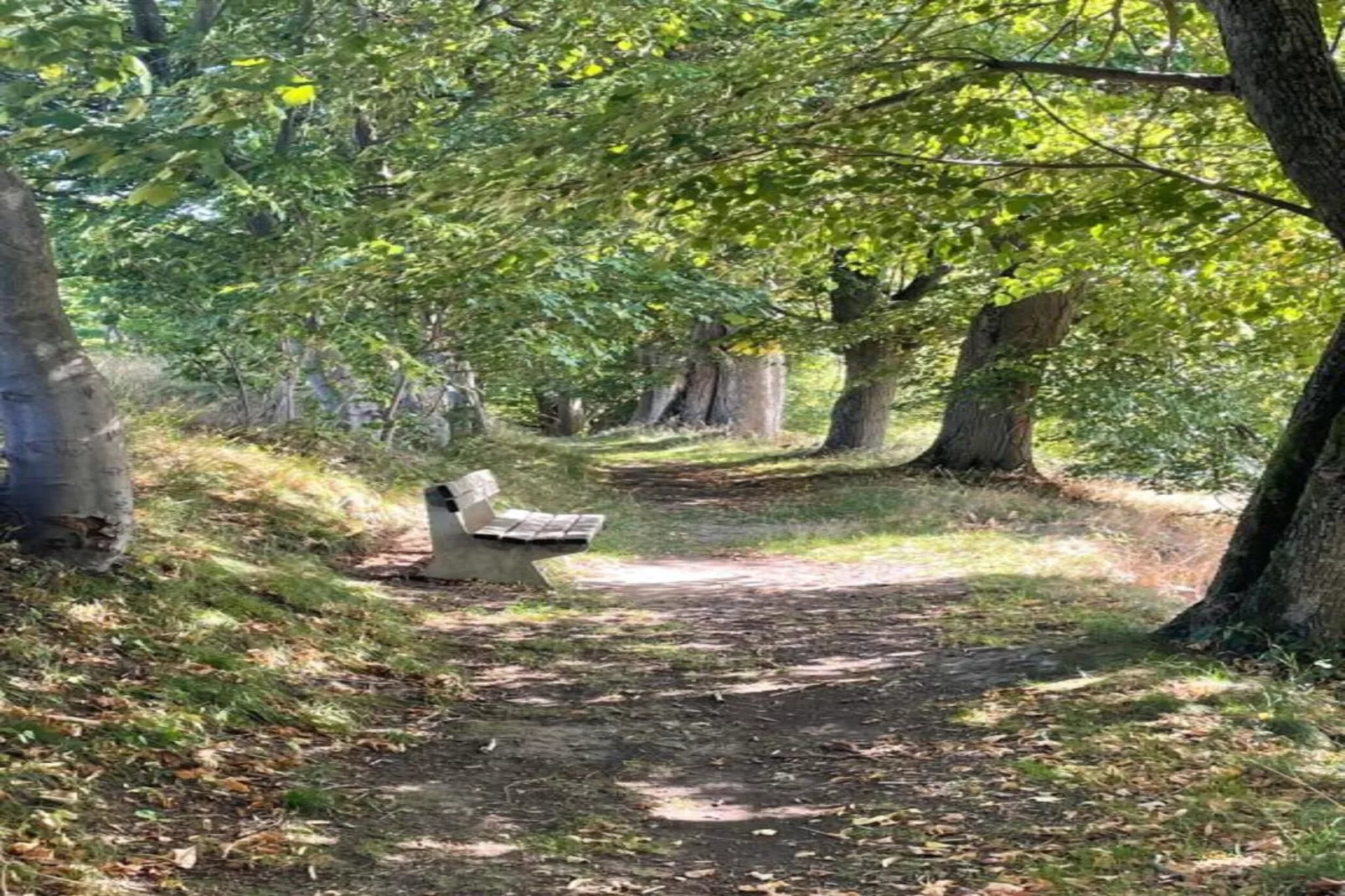 SORT A-Areas within 5km in summer