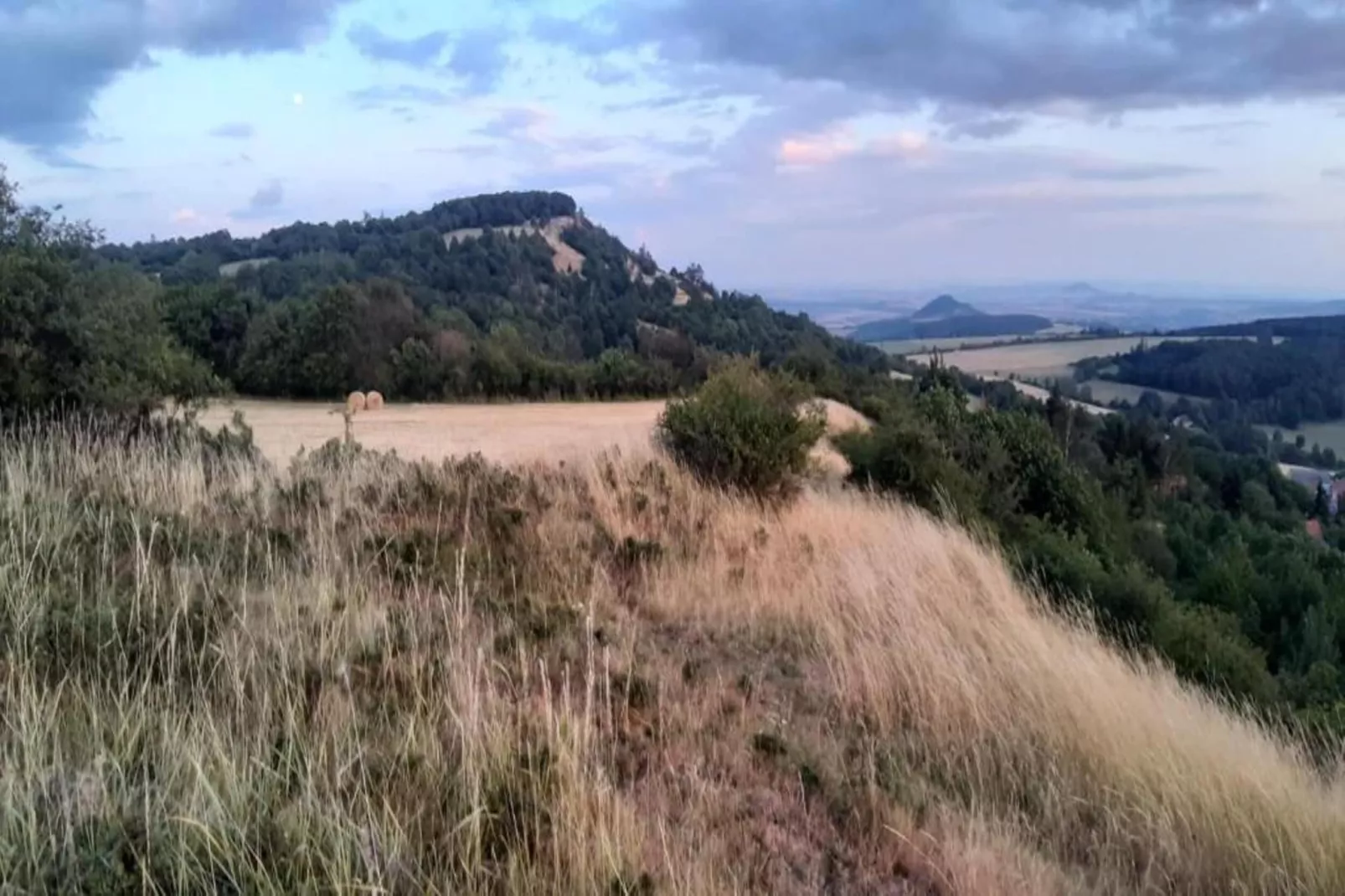 Rita-Areas within 5km in summer