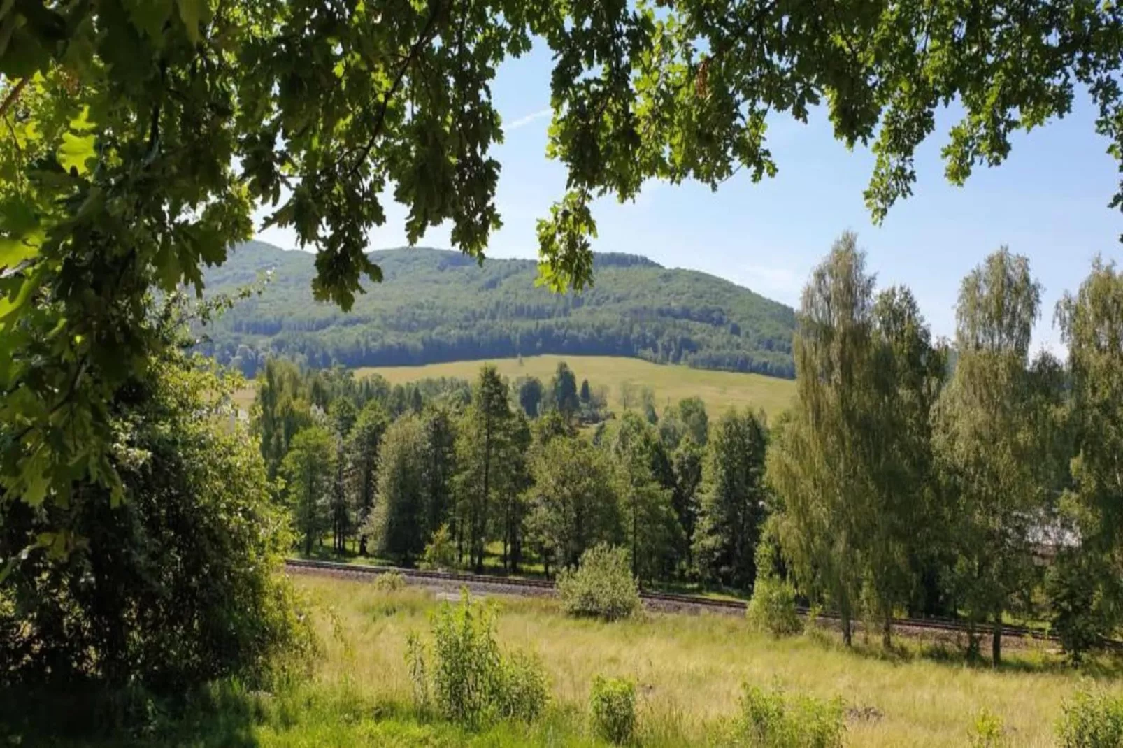 Richard-Areas within 20km in summer