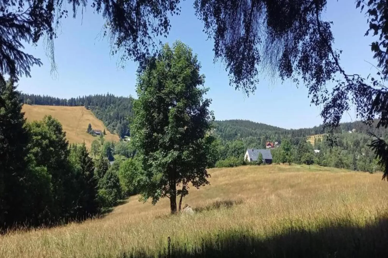 Monika-Areas within 5km in summer