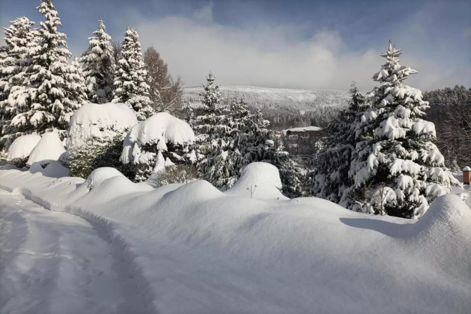 Rokytno-Area within 20km in winter