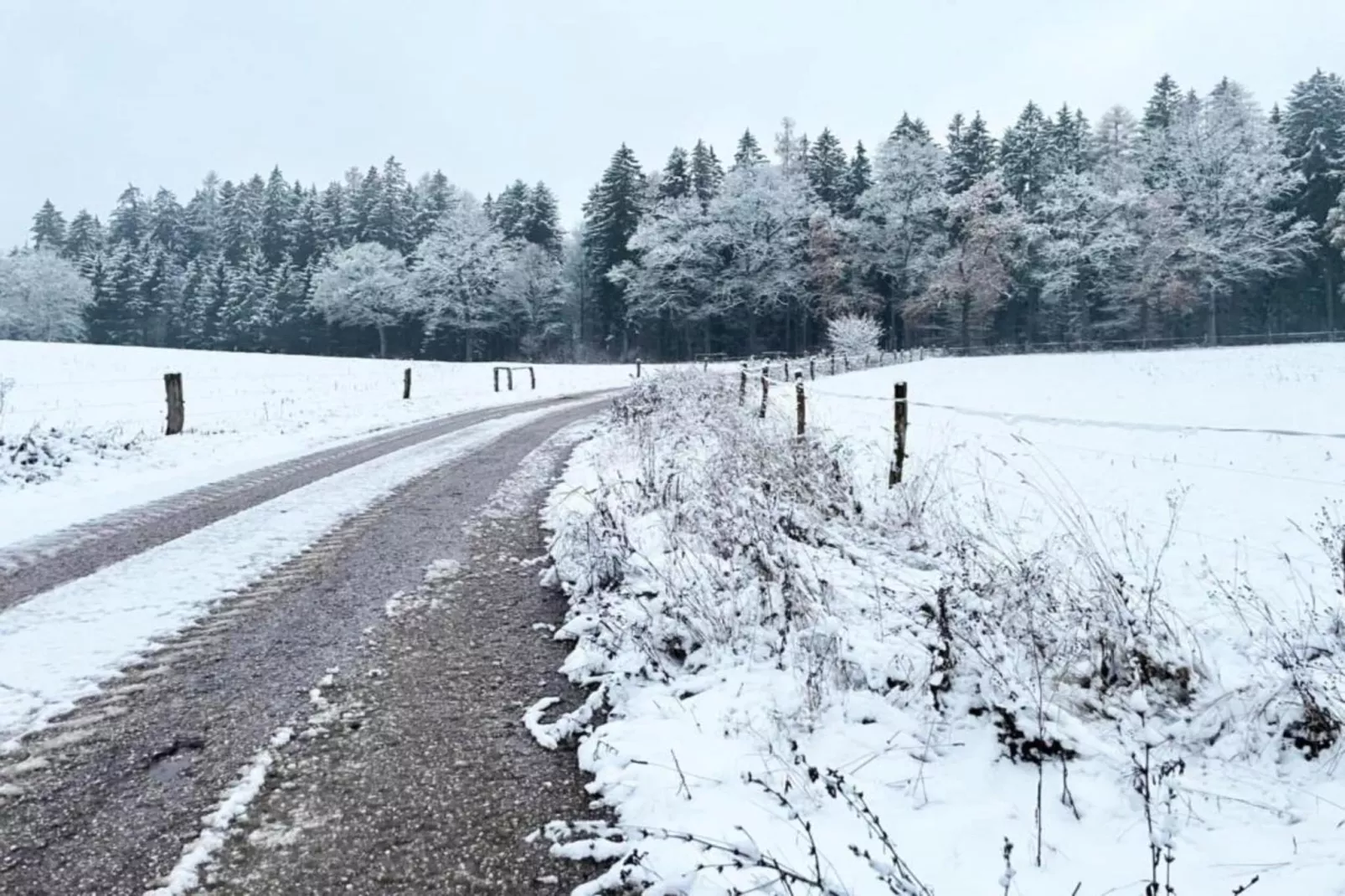 Huis Javornik-Area within 20km in winter
