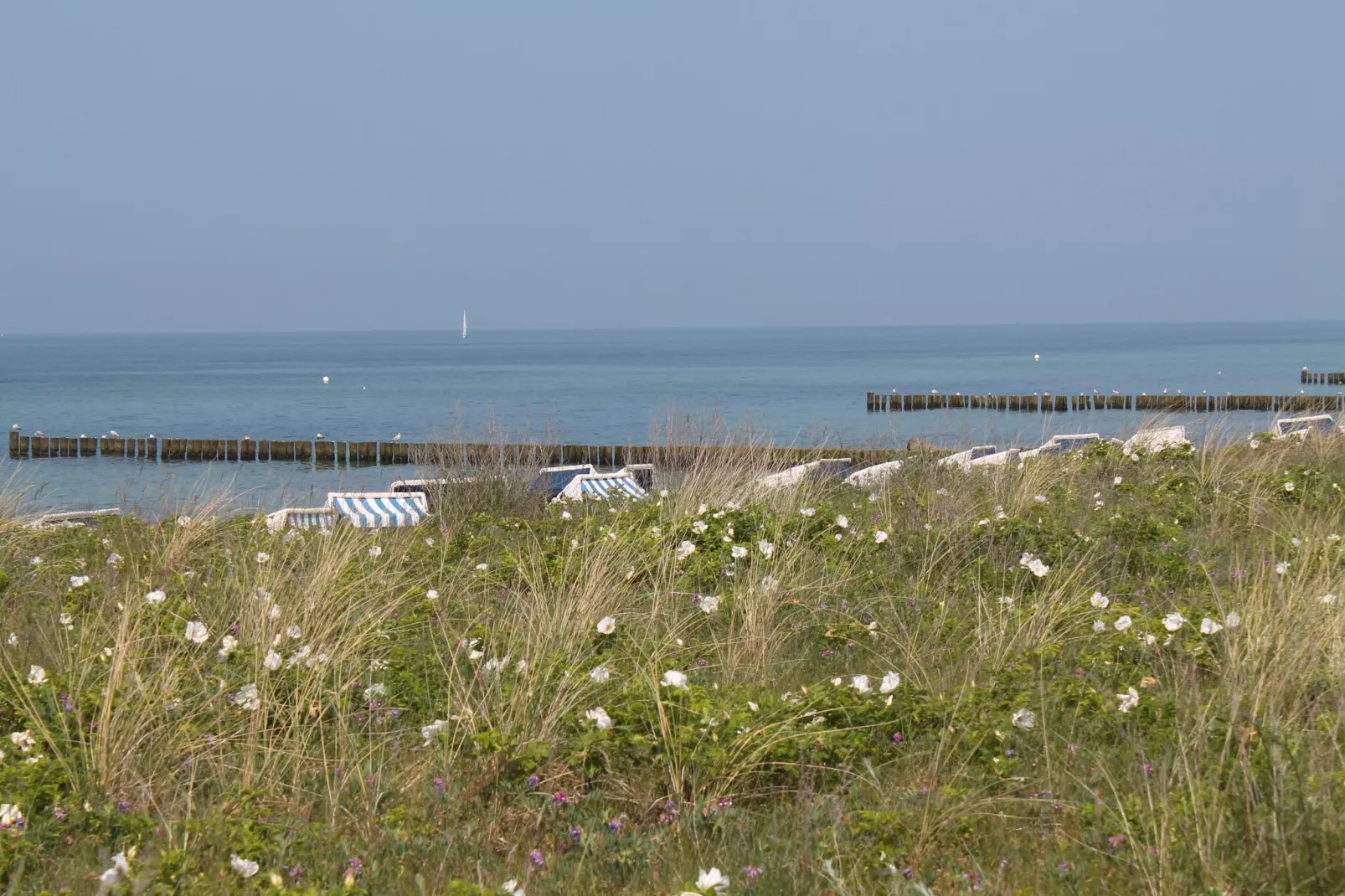 Blockhaus Zum Strande-Zones été à 20 km