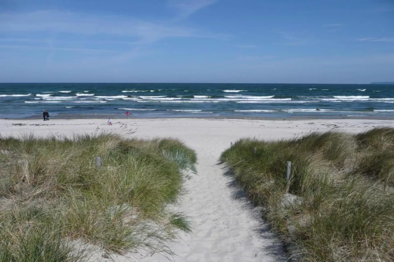 Uferschwalbe 3-Areas within 20km in summer