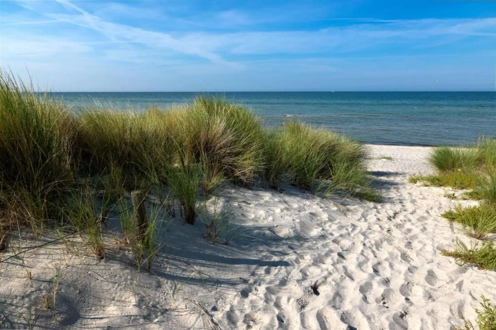 Bei Ostseebad Rerik-Zones été à 20 km