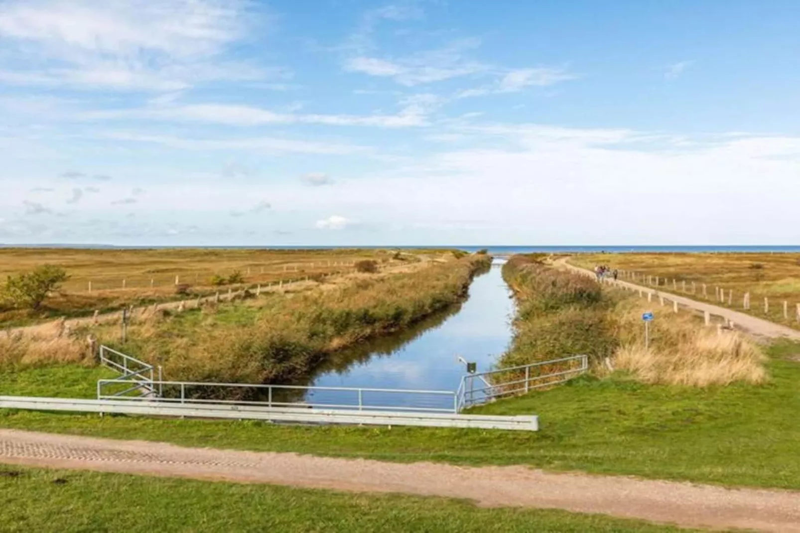 Doris-Areas within 20km in summer