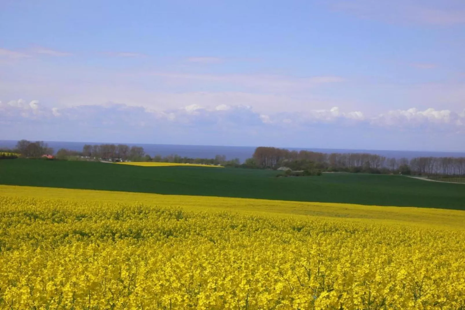 Landhaus bei Kühlungsborn-Areas within 20km in summer