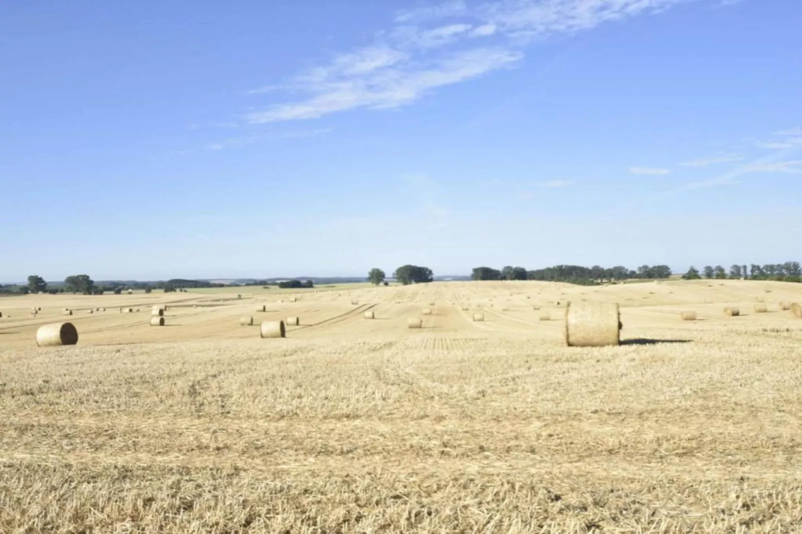 Gartenblick bei Gerdshagen-Areas within 20km in summer