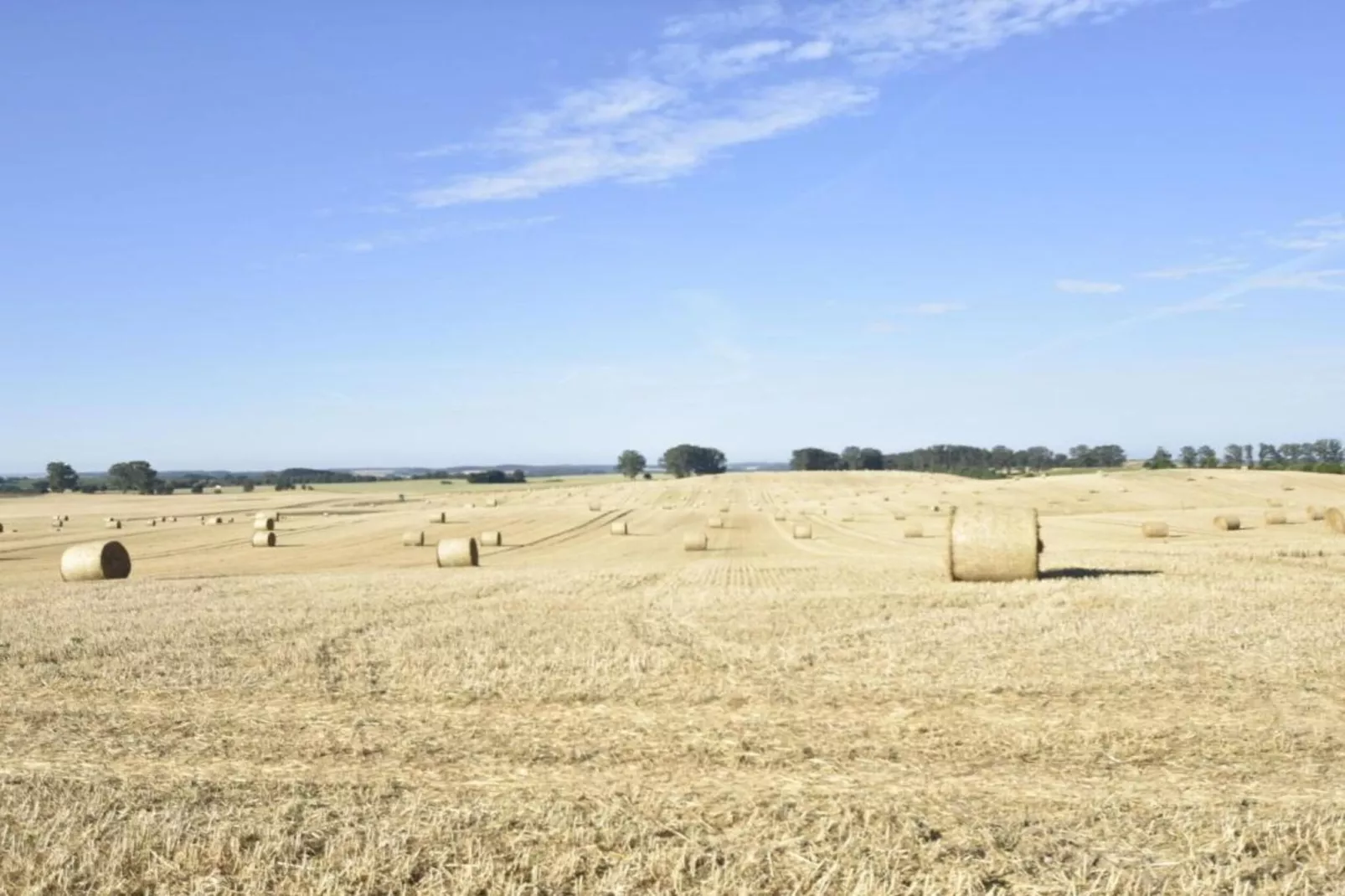 Beletage bei Gerdshagen-Areas within 20km in summer