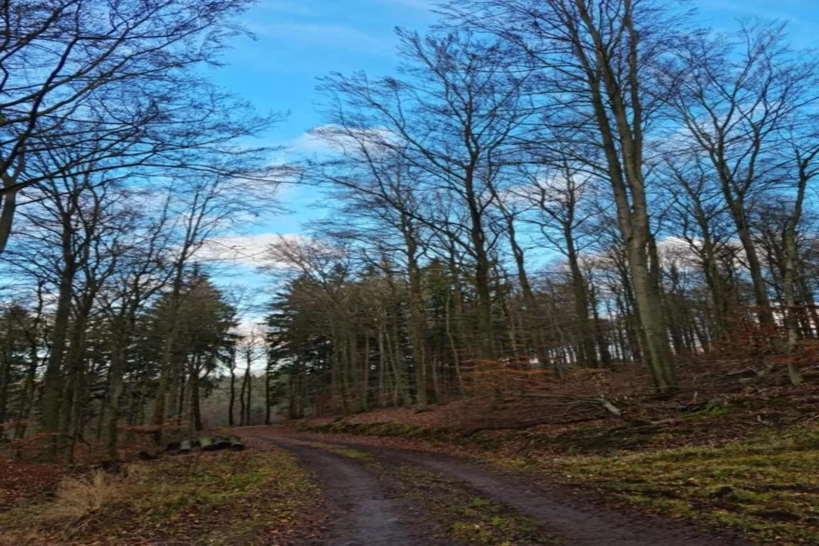 Ferienwohnung Landidyll am Salzhaff-Gebiete Sommer 20 km
