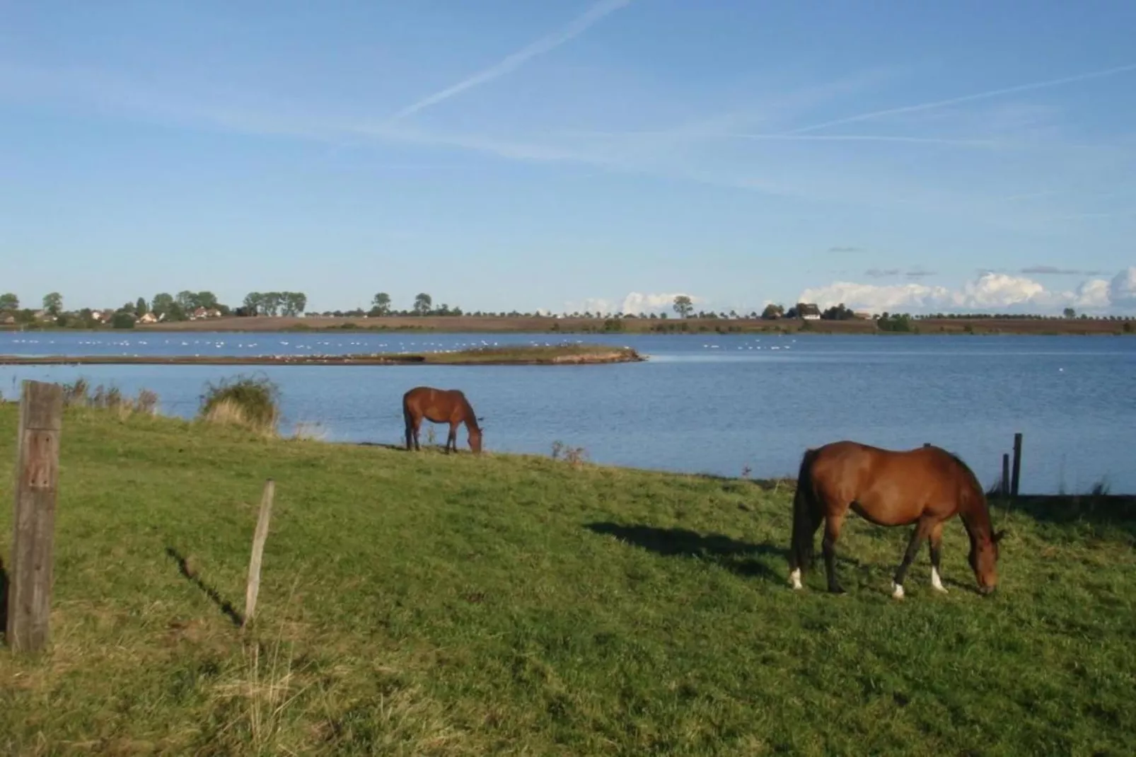 Bungalowanlage Gänseblümchen 2-Zones été à 20 km