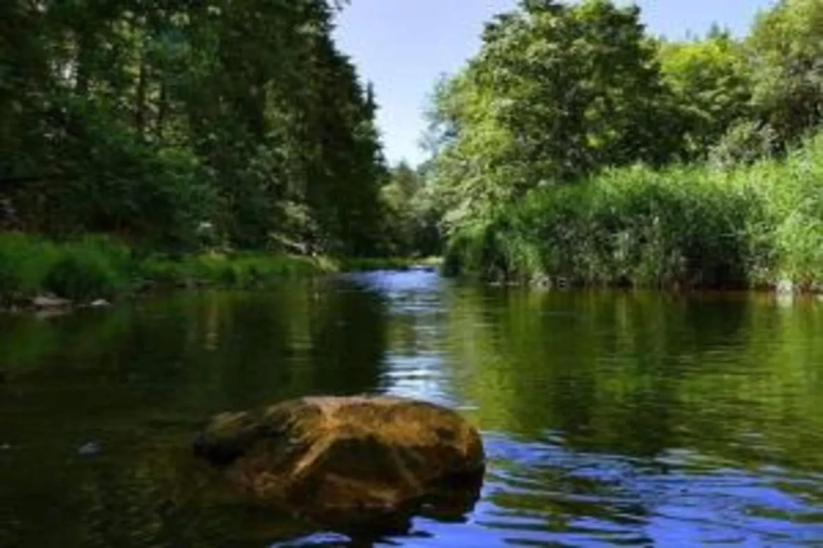 Villa Rotschönberg-Areas within 20km in summer