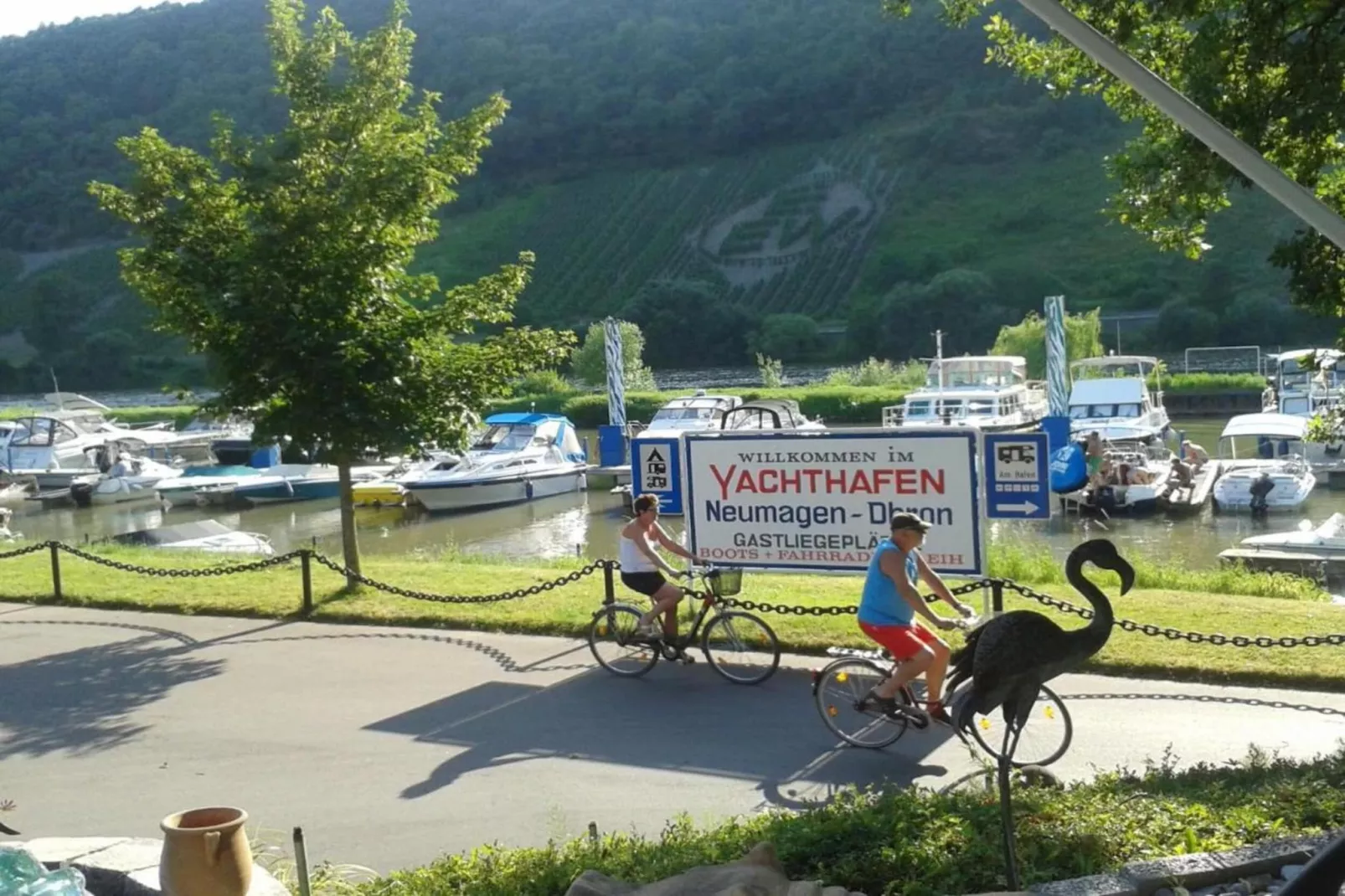 Ferienwohnung mit Moselblick-Areas within 20km in summer