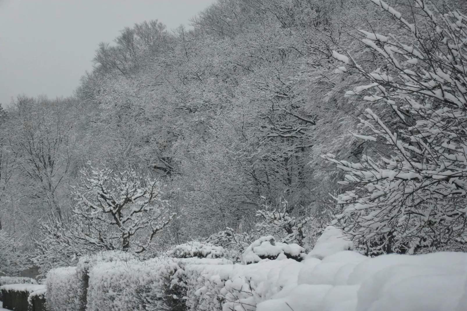 Sächsische Schweiz-Gebiet Winter 1 km