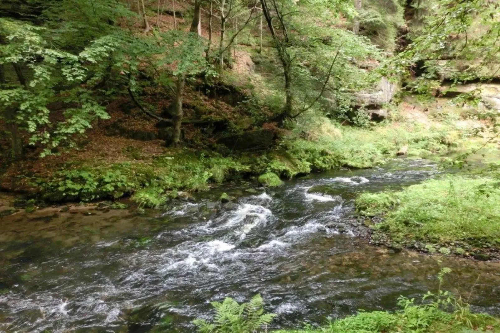Sächsische Schweiz-Areas within 5km in summer