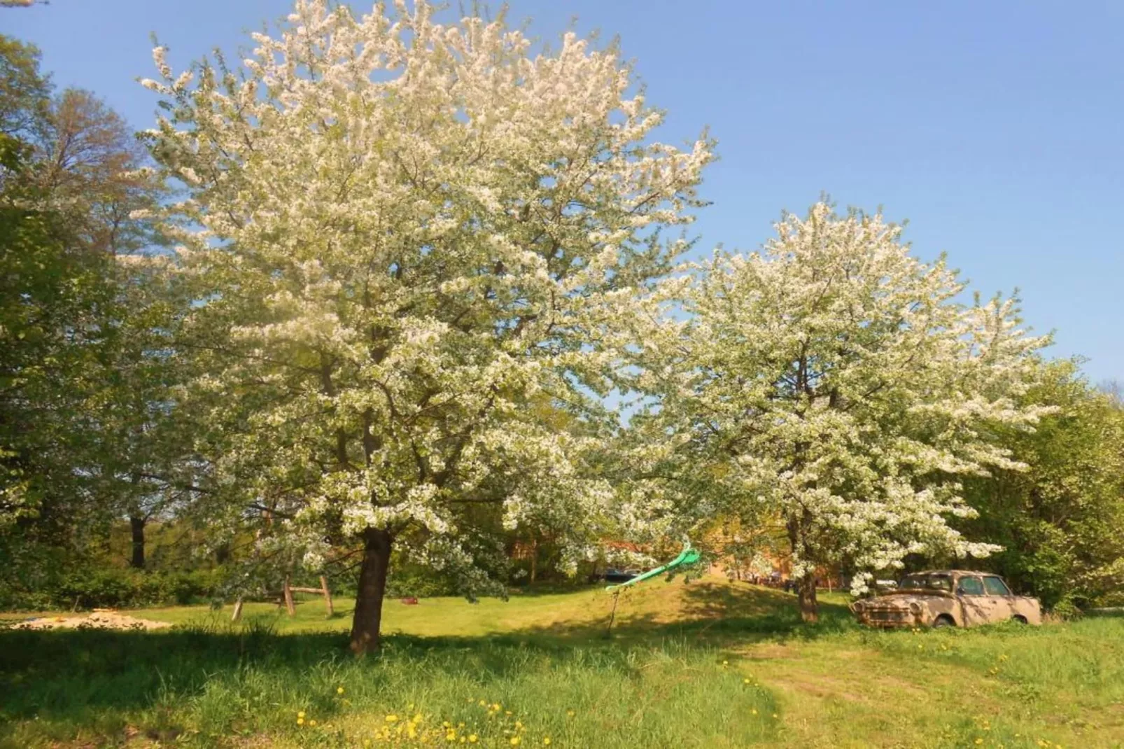 Ferienhaus Lausch-Areas within 5km in summer