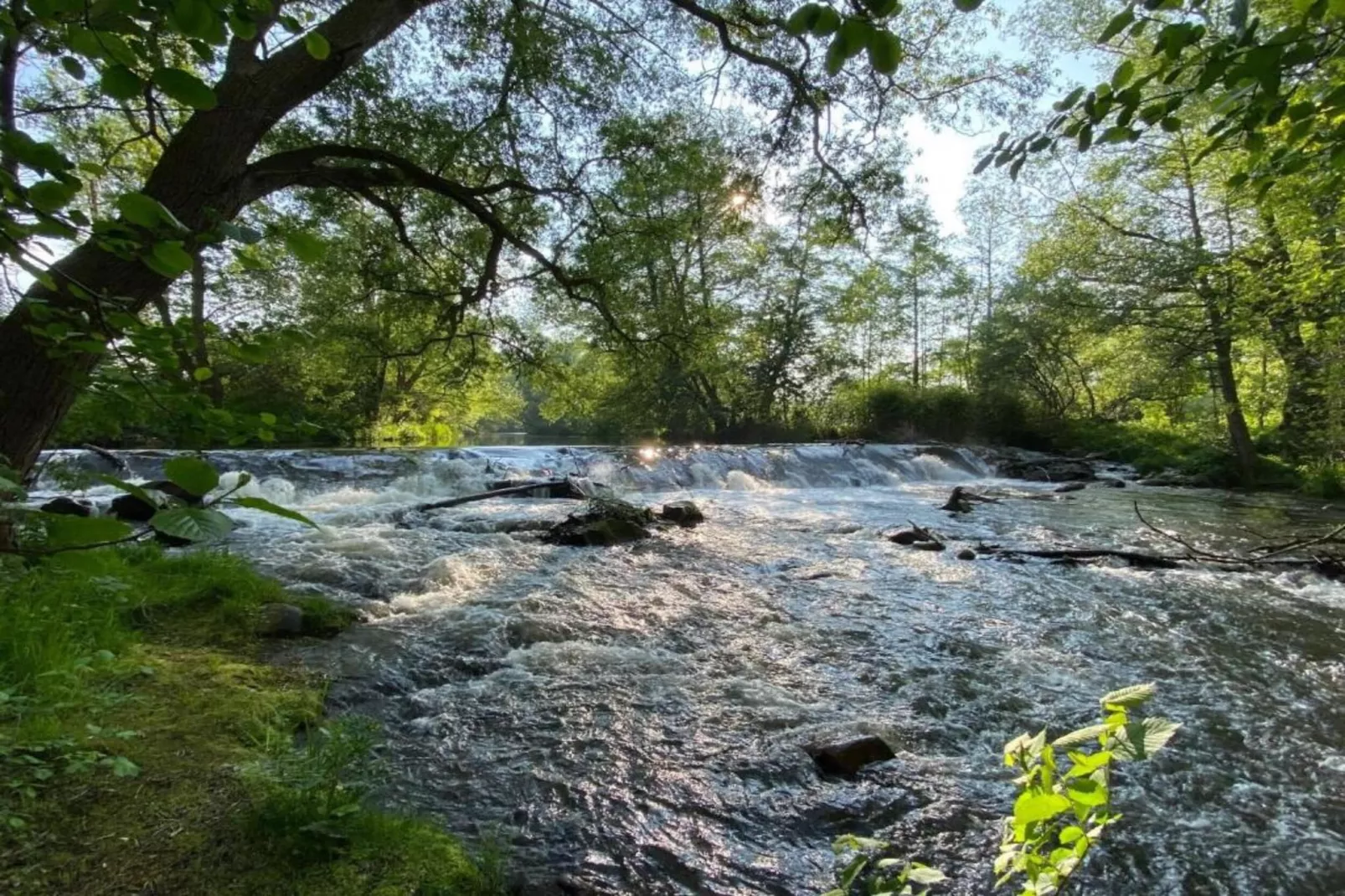 Opperode-Areas within 20km in summer