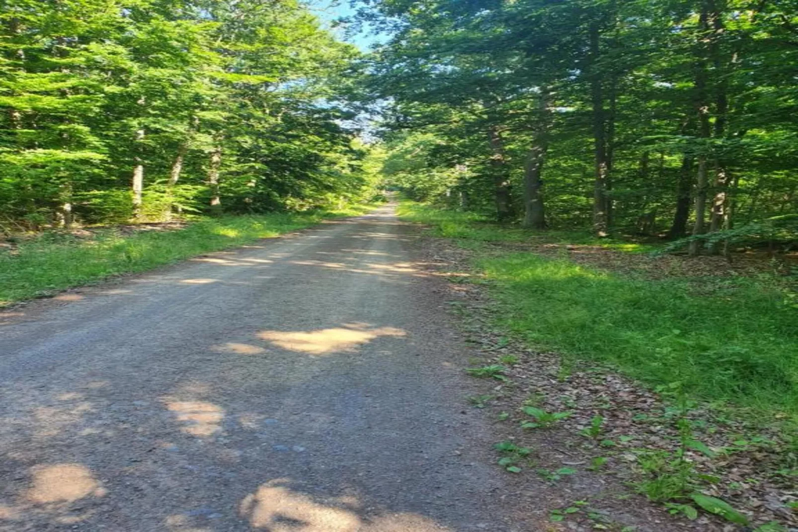 Holzhaus Ute-Areas within 20km in summer