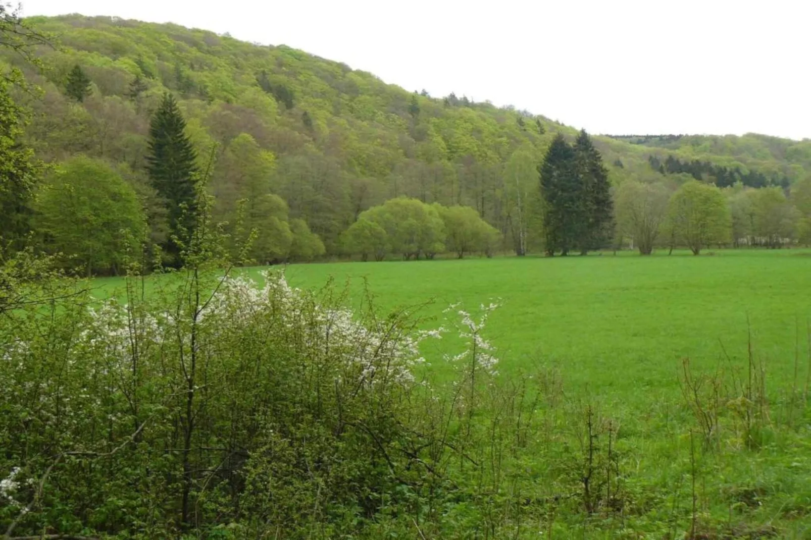 Holzhaus Andi-Areas within 20km in summer