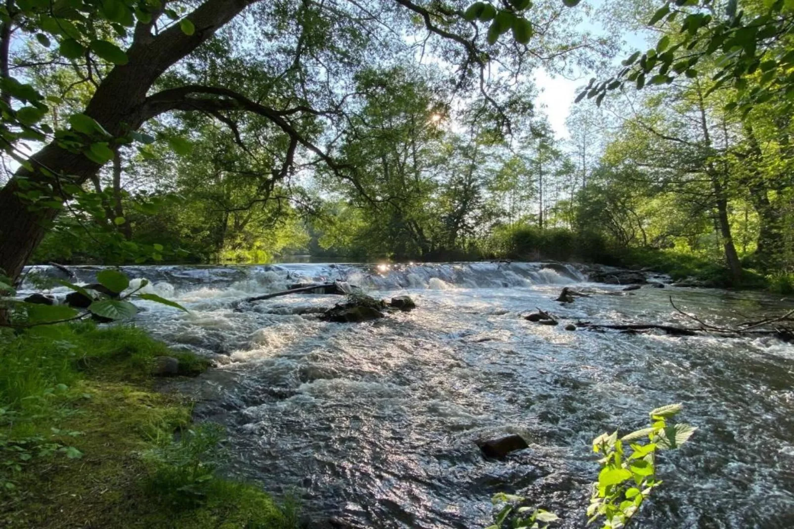 Ballenstedt-Areas within 20km in summer