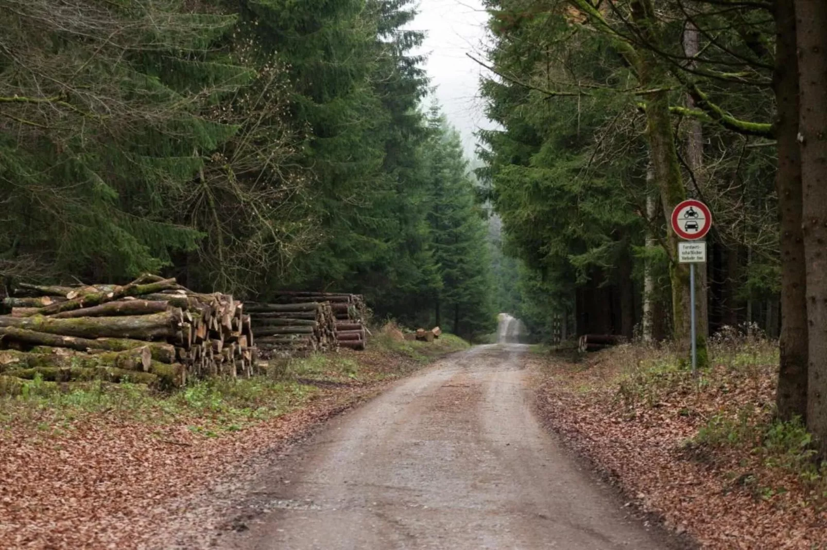 Thale-Zones été à 20 km