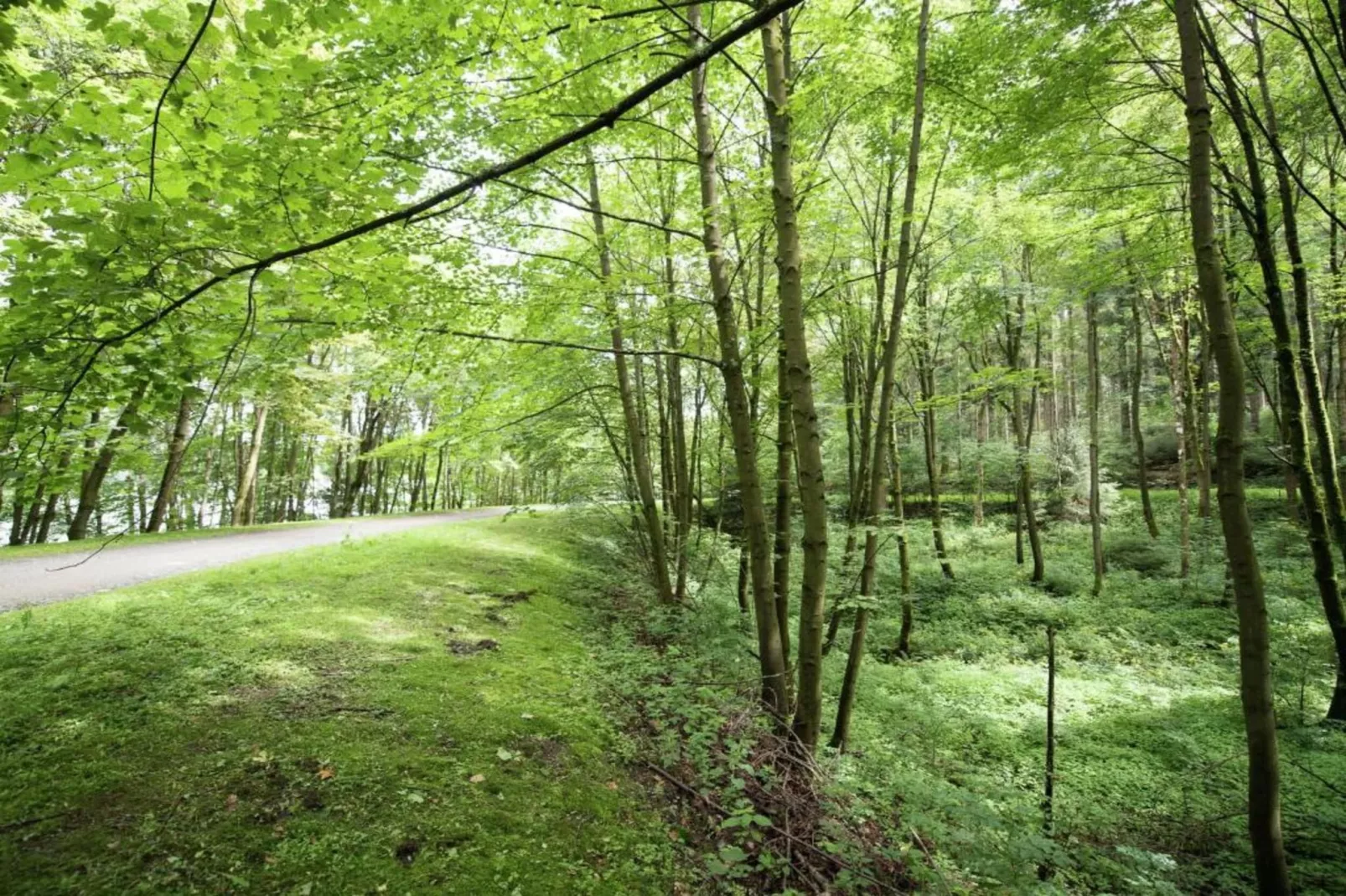 Vogtland-Areas within 20km in summer