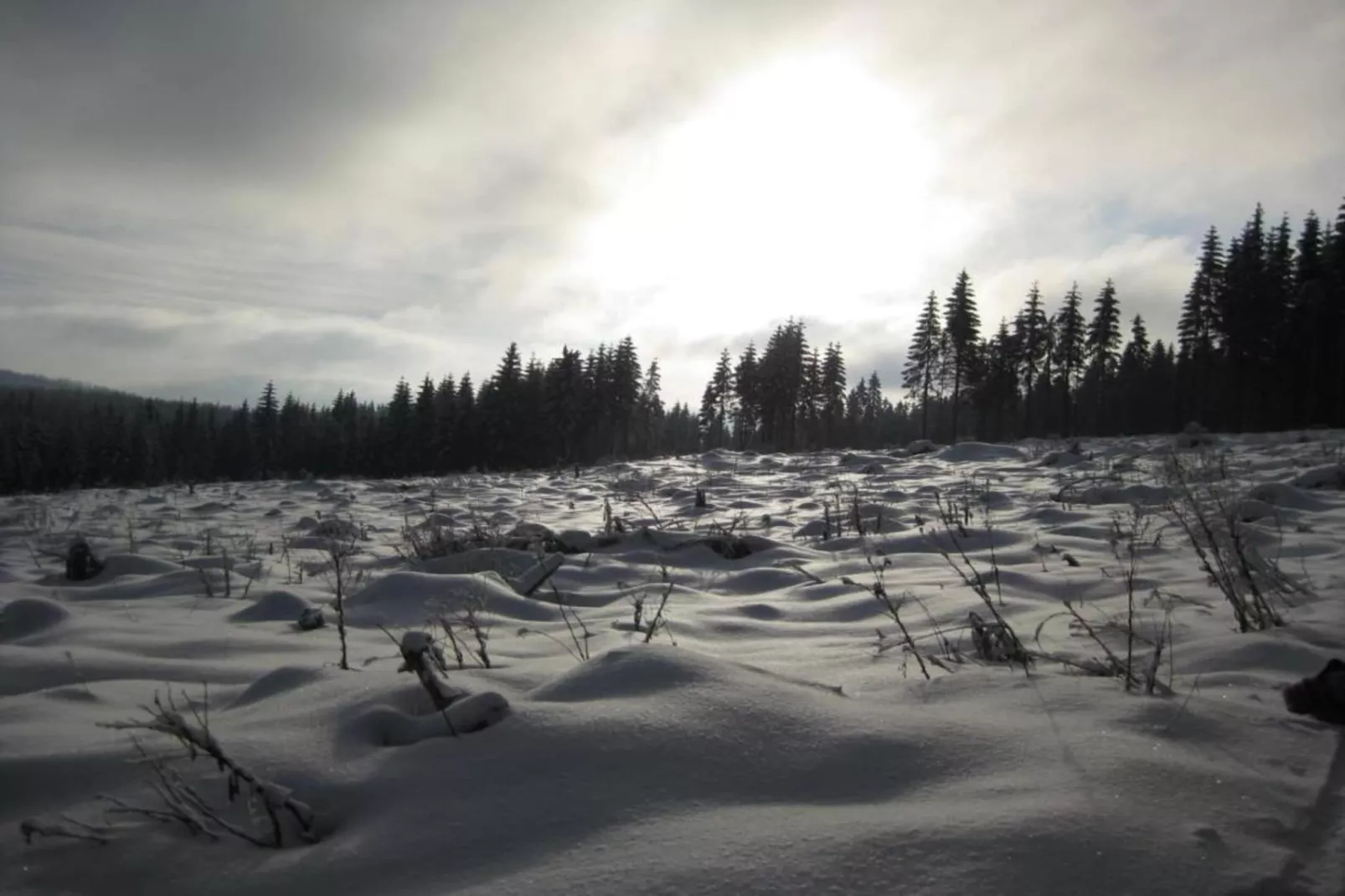 Rittersgrün-Area within 20km in winter