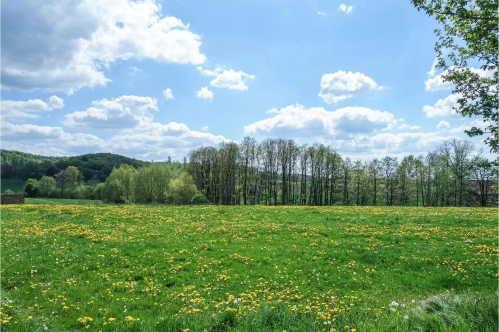 Feriendorf Natur pur 1-Zones été à 20 km