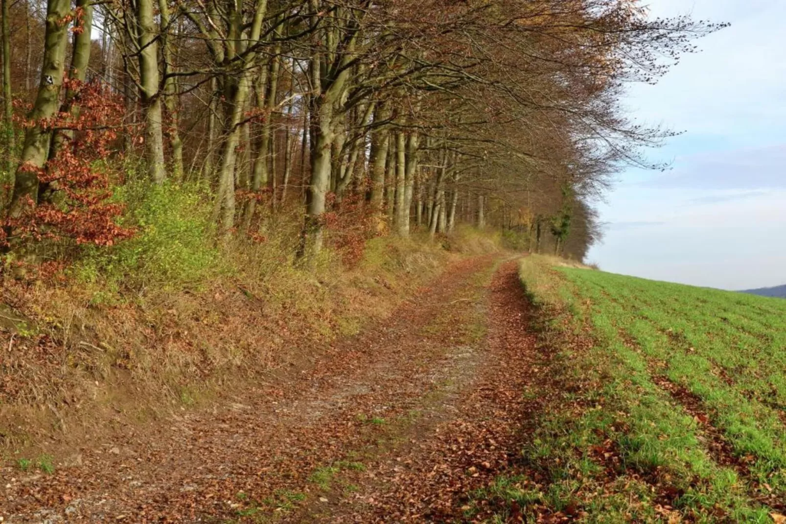 Weserbergland-Gebiete Sommer 20 km