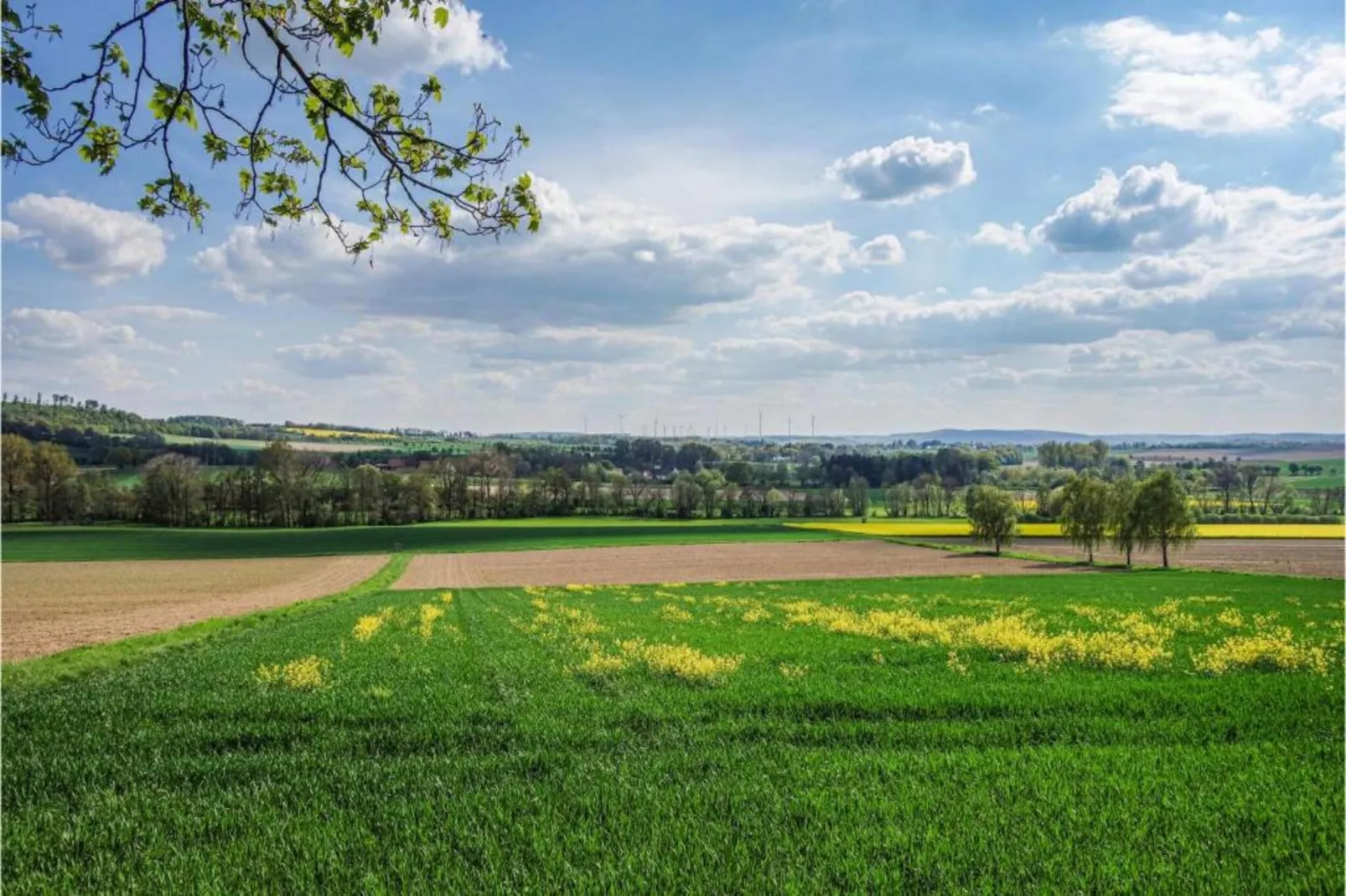Im Teutoburger Wald-Gebiete Sommer 5 km