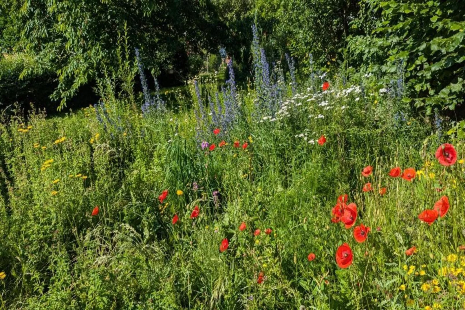 Ober-Waroldern-Gebiete Sommer 20 km